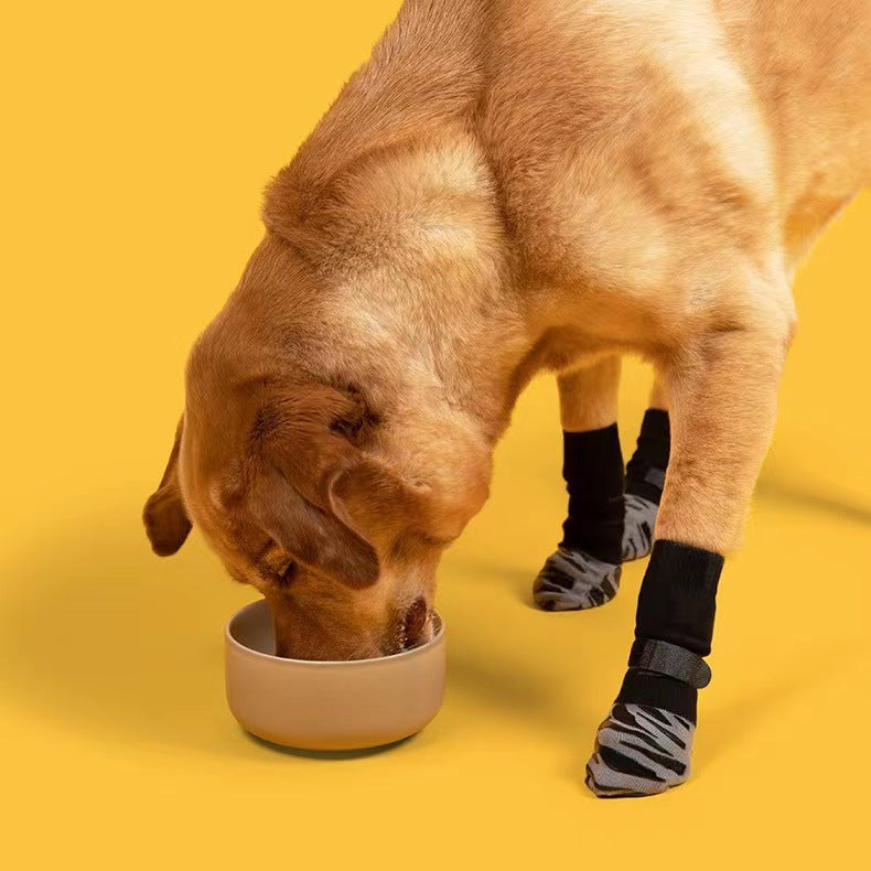 Paw & Hydration