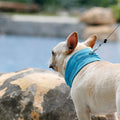 New Instant Cooling Pet Bandana Dog Scarf Summer Cooling Towel Wrap Dog Collar