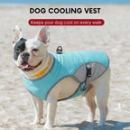Cooling Vest