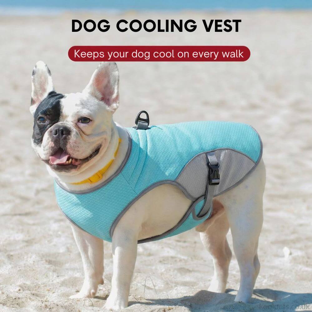 Cooling Vest