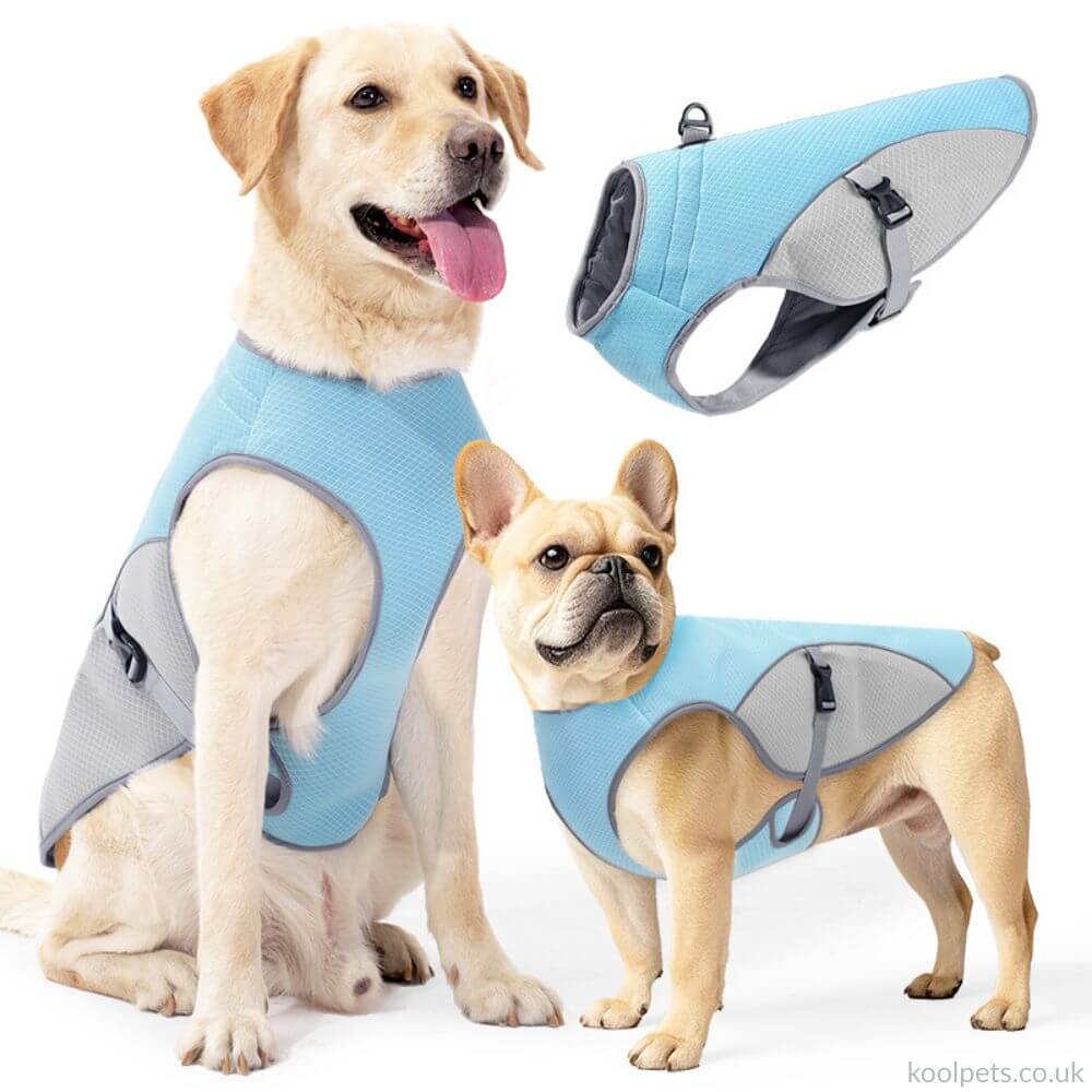 Cooling Vest
