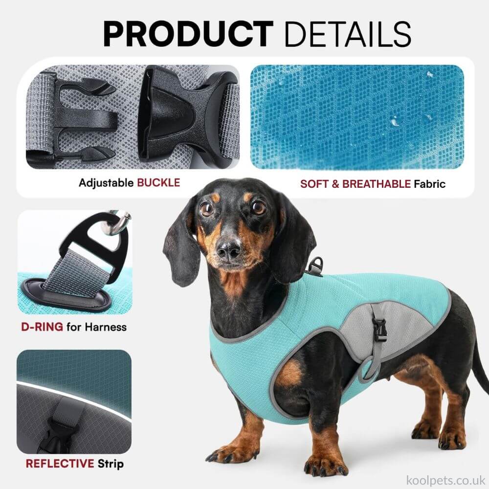 Cooling Vest