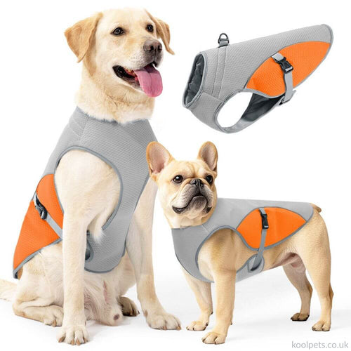 Cooling Vest