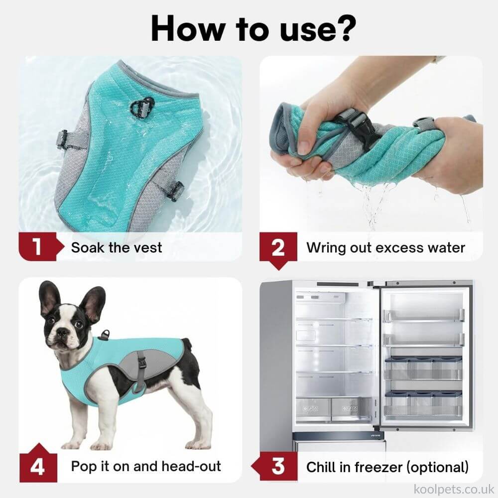 Cooling Vest