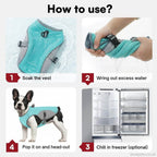 Cooling Vest