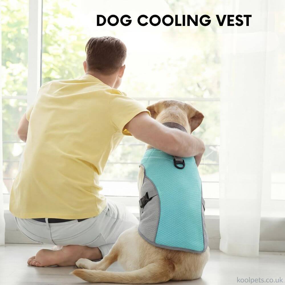 Cooling Vest