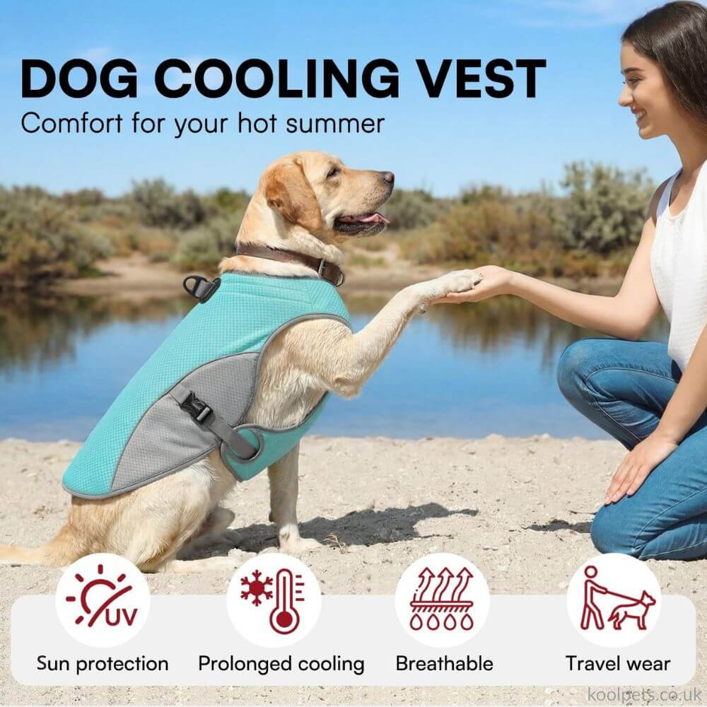 Cooling Vest
