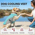 Cooling Vest
