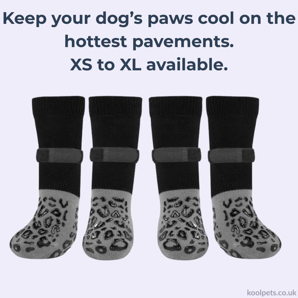 Paw Grip Socks