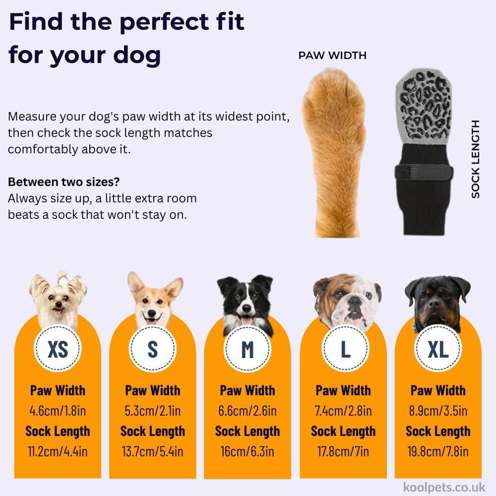 Paw Grip Socks