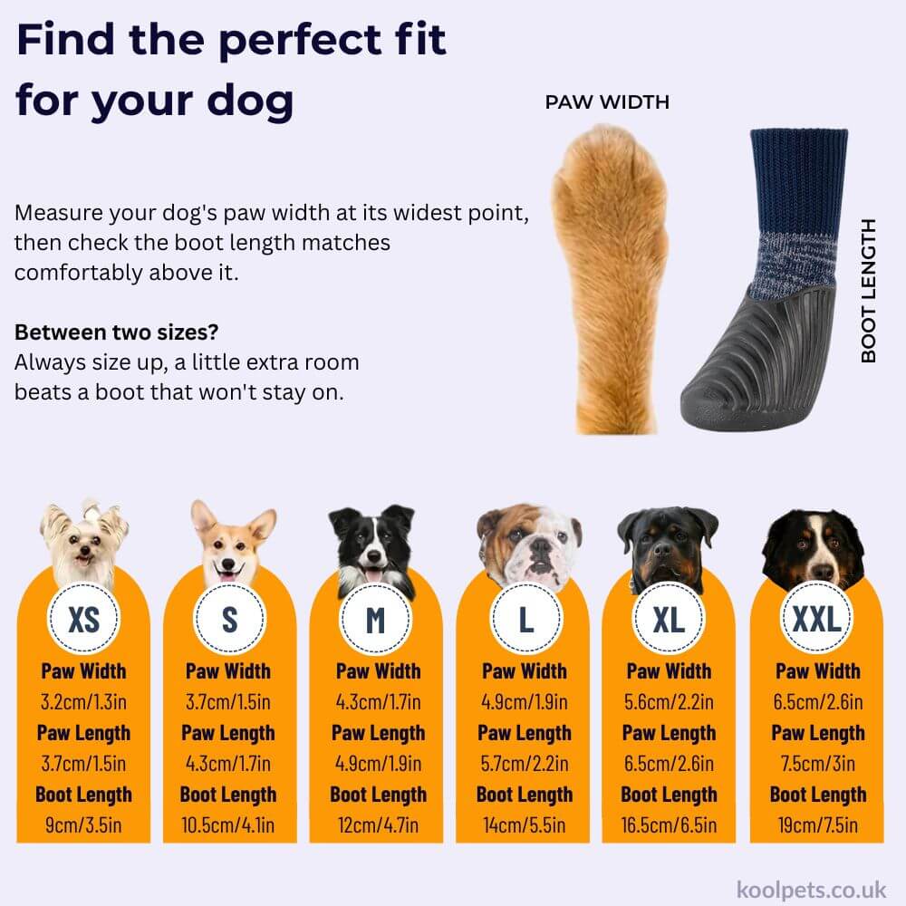 Pet Outdoor Sports Shoes With Anti Slip Biomimetic Stripes