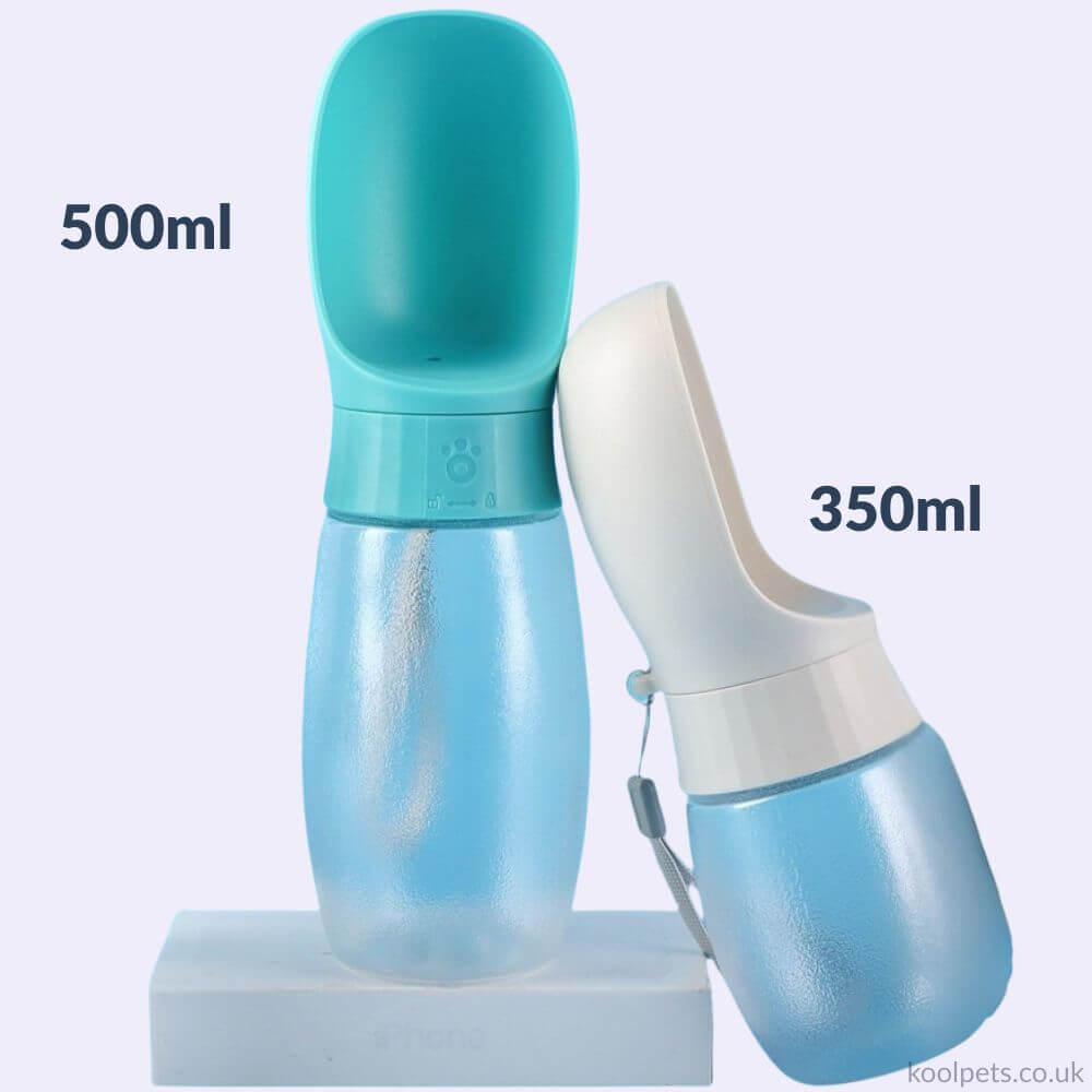 Water Bottle